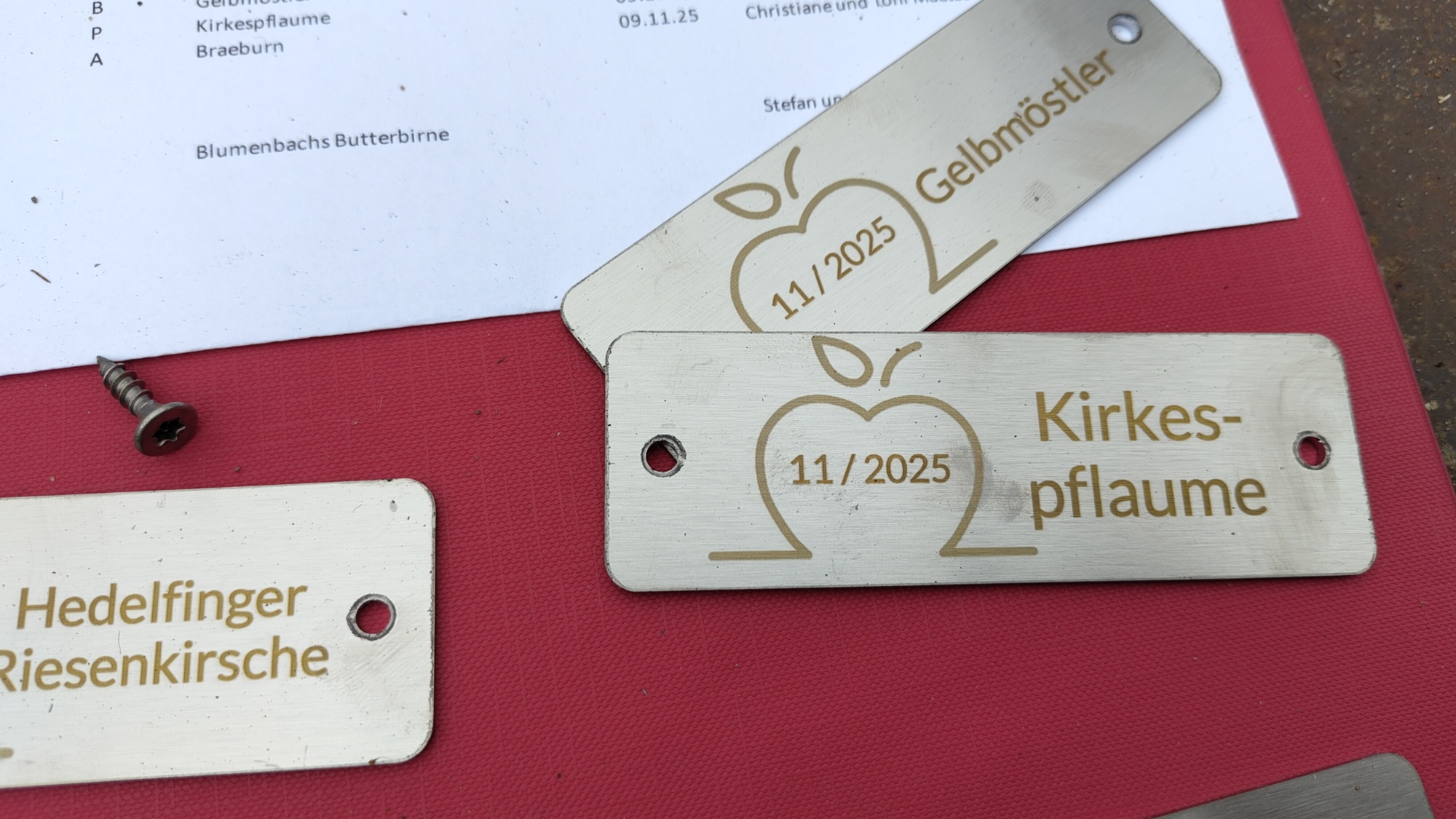 Baumsorten auf der Wiese Süd