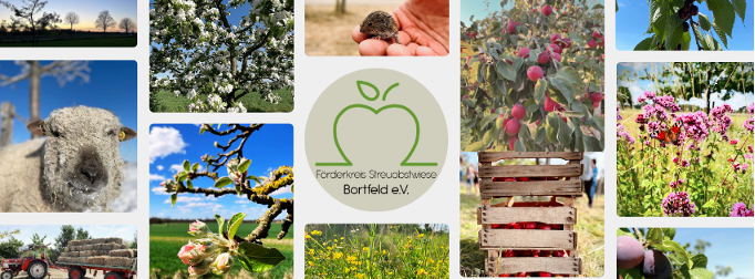 Bilder von den Bortfelder Wiesen