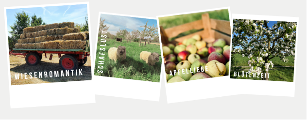 Impressionen Wiese
