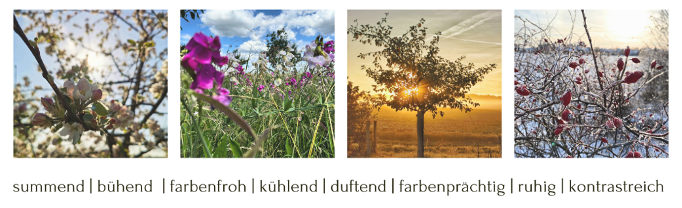 Jahreszeiten Wiese